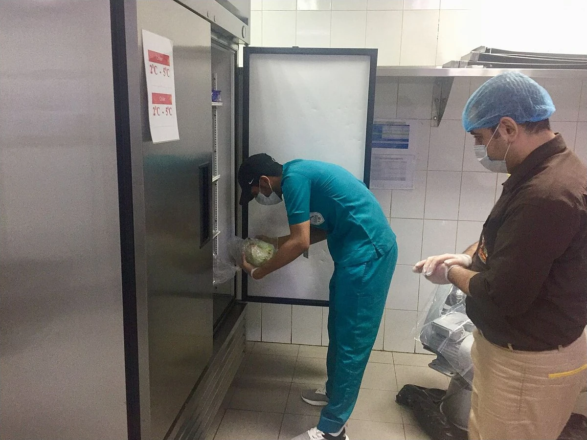 Health inspector observing refrigerated food storage during a restaurant inspection